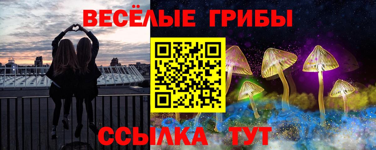 Псилоцибиновые грибы MAGIC MUSHROOMS  купить  цена  Благовещенск  Вход с VPN 